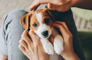 "a leading Social Media agency" image